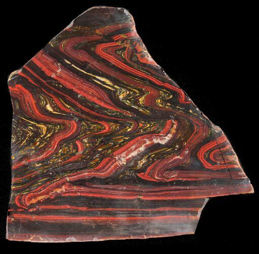 Polished Tiger Iron Stromatolite - ( Billion Years) #38920